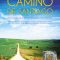 Camino de Santiago 2015 – Una metáfora de la vida”