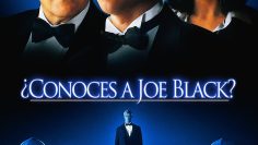 Conoces a Joe Black
