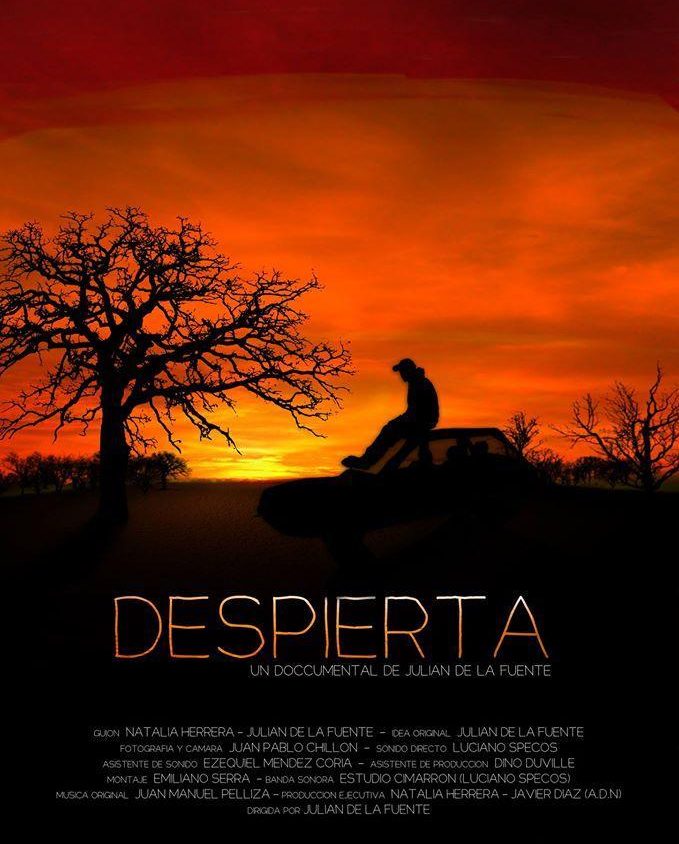 Precarga De Imagen