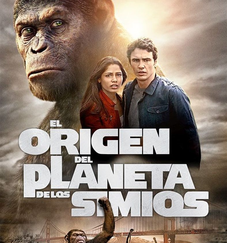 Precarga De Imagen