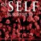 El Siglo Del Individualismo. Máquinas De Felicidad