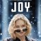Joy (2015)