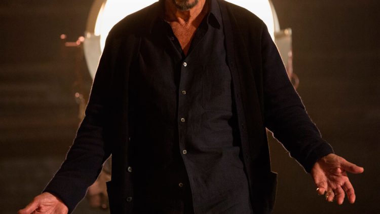 La Sombra del Actor (2014)