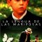 La lengua de las mariposas 1999