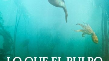 Lo que el pulpo me enseñó