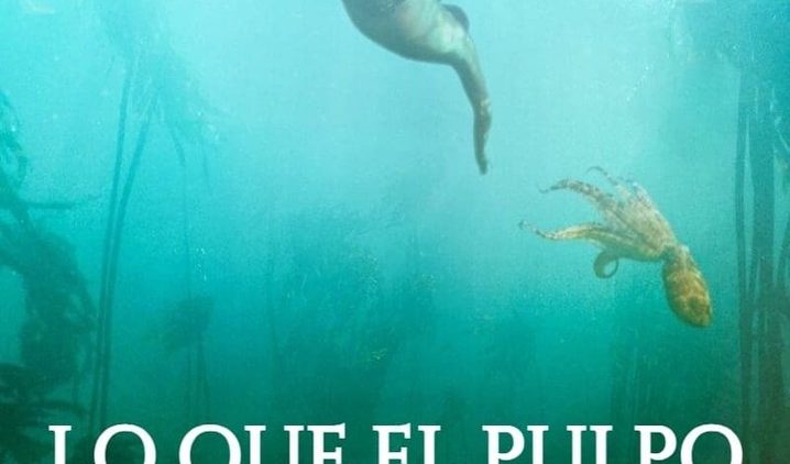 Lo que el pulpo me enseñó