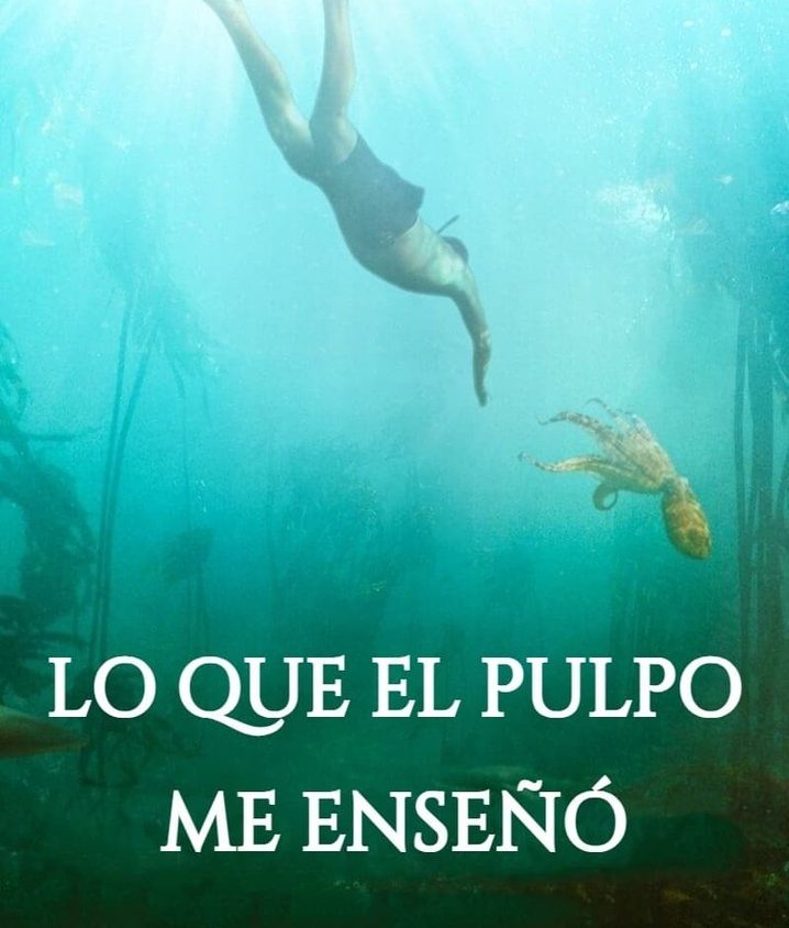Precarga De Imagen