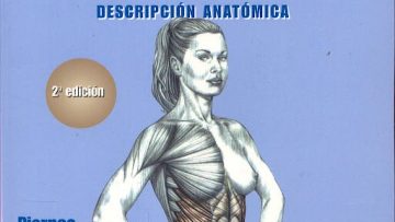 Mujeres Guia De Los Movimientos De Musculacion_ Descripcion Anatomica