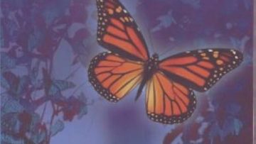 Vidaplena – Wayne Dyer_ La Ultima Llamada a Inspiración Pte. 2