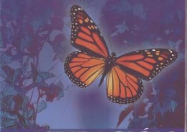 Vidaplena – Wayne Dyer_ La Ultima Llamada a Inspiración Pte. 2