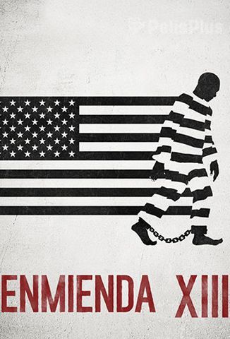 La Imagen De Vídeo