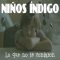 Niños índigo