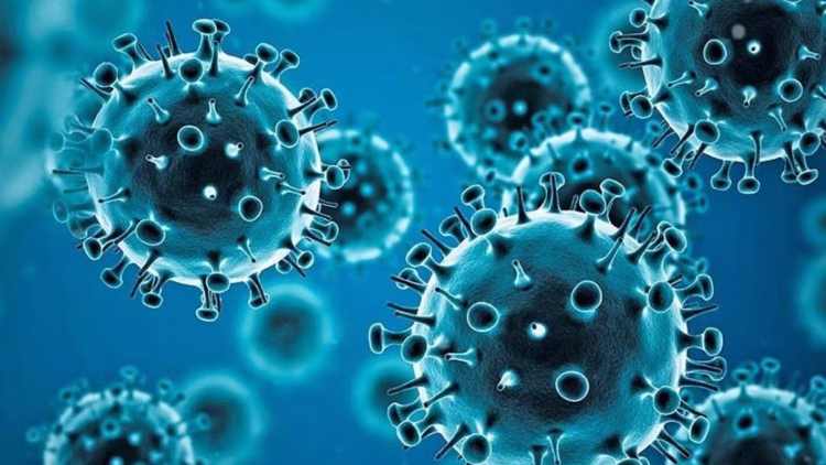 Pandemia