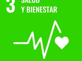 Salud y bienestar