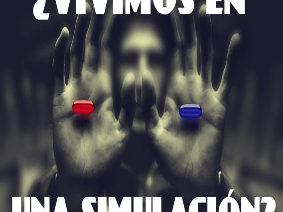 Vivimos en una simulación