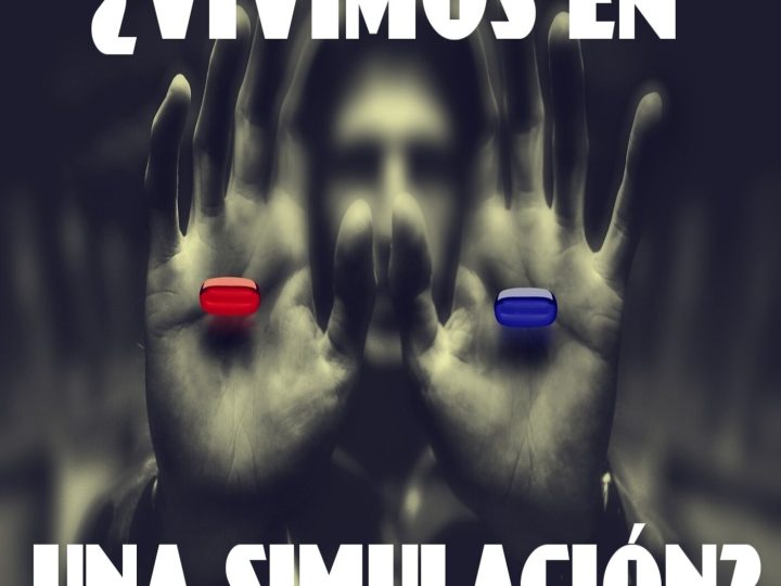 Vivimos en una simulación